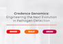 provide web design services for your small business website